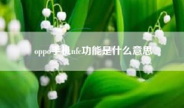 oppo手机nfc功能是什么意思
