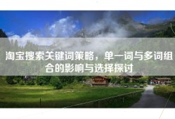淘宝搜索关键词策略，单一词与多词组合的影响与选择探讨