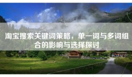 淘宝搜索关键词策略，单一词与多词组合的影响与选择探讨