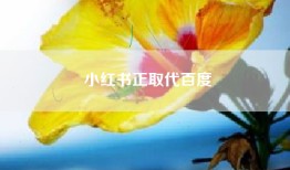 小红书正取代百度