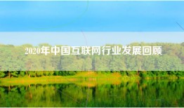 2020年中国互联网行业发展回顾