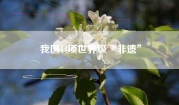 我国44项世界级“非遗”