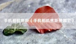 手机相机焦距（手机相机焦距是哪个）