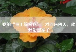 我的“返工综合症”：才回来四天，就开始想家了
