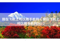 现在飞机上可以用手机吗（现在飞机上可以用手机吗2023）