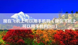 现在飞机上可以用手机吗（现在飞机上可以用手机吗2023）