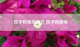 饺子的来历简介 饺子的由来