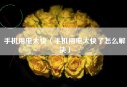手机用电太快（手机用电太快了怎么解决）