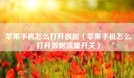 苹果手机怎么打开数据（苹果手机怎么打开数据流量开关）