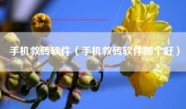 手机救砖软件（手机救砖软件哪个好）