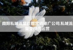 南阳私域流量社群营销推广公司,私域流量变现代运营