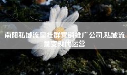 南阳私域流量社群营销推广公司,私域流量变现代运营