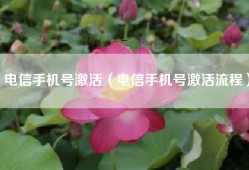电信手机号激活（电信手机号激活流程）