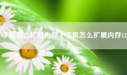 手机怎么扩展内存（手机怎么扩展内存128g）