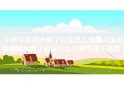 小米手机掉水里了应该怎么处理（小米手机掉水里了应该怎么处理屏幕不能用）