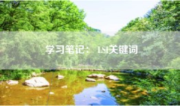 学习笔记： LSI关键词