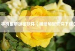 手机相册加密软件（相册加密软件下载）