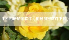 手机相册加密软件（相册加密软件下载）