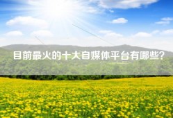 目前最火的十大自媒体平台有哪些？