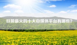 目前最火的十大自媒体平台有哪些？