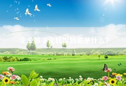 企业数字化转型到底是什么？