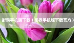 街霸手机版下载（街霸手机版下载官方）
