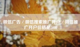 微信广告／微信搜索推广开户／微信推广开户价格是5000