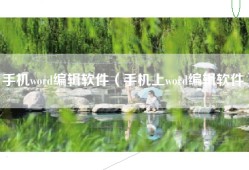 手机word编辑软件（手机上word编辑软件）