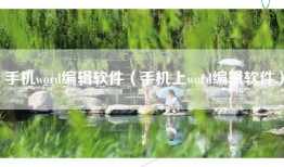 手机word编辑软件（手机上word编辑软件）