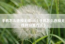 手机怎么连接无线wifi（手机怎么连接无线网设置方法）