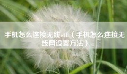 手机怎么连接无线wifi（手机怎么连接无线网设置方法）