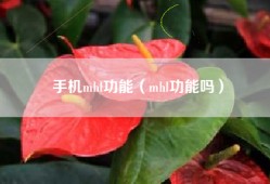 手机mhl功能（mhl功能吗）