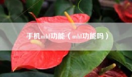 手机mhl功能（mhl功能吗）