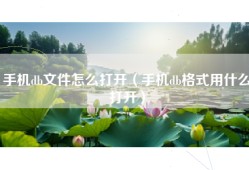 手机db文件怎么打开（手机db格式用什么打开）
