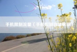 手机限制流量（手机限制流量解除）