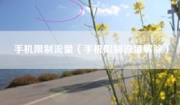手机限制流量（手机限制流量解除）