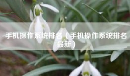 手机操作系统排名（手机操作系统排名最新）