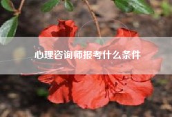心理咨询师报考什么条件