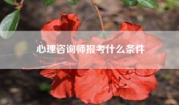心理咨询师报考什么条件