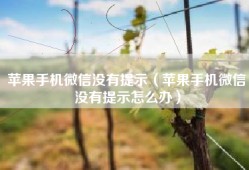 苹果手机微信没有提示（苹果手机微信没有提示怎么办）