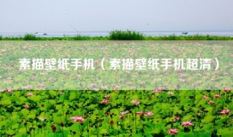素描壁纸手机（素描壁纸手机超清）
