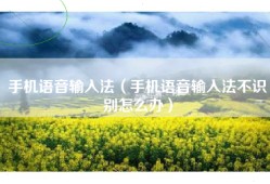 手机语音输入法（手机语音输入法不识别怎么办）