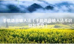 手机语音输入法（手机语音输入法不识别怎么办）