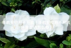 手机充电开不开机（手机充电开不开机还光震动怎么办）