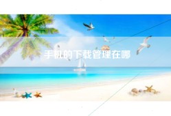 手机的下载管理在哪