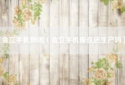 金立手机倒闭（金立手机现在还生产吗）