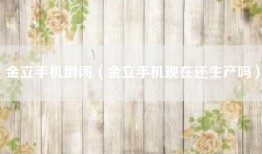 金立手机倒闭（金立手机现在还生产吗）