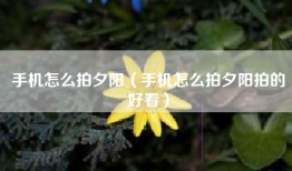 手机怎么拍夕阳（手机怎么拍夕阳拍的好看）