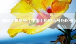 国家手机区号（中国手机电话号码区号）