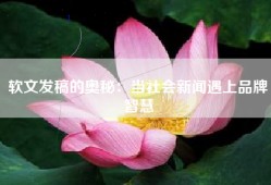 软文发稿的奥秘：当社会新闻遇上品牌智慧